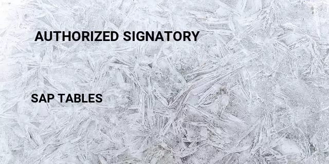  authorized signatory Table in SAP