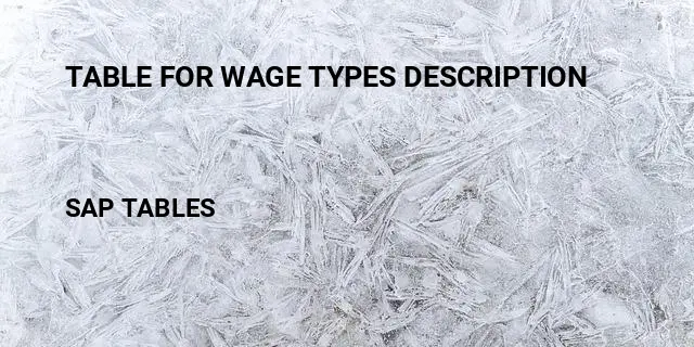 Table for wage types description Table in SAP