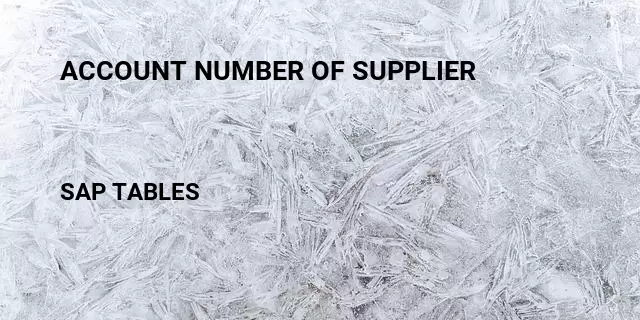 Account number of supplier Table in SAP