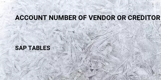 Account number of vendor or creditor Table in SAP