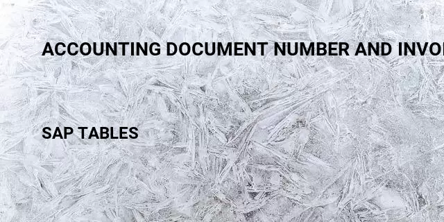 Accounting document number and invoice numbericcid  8901 2804 3309 0722 4594 Table in SAP