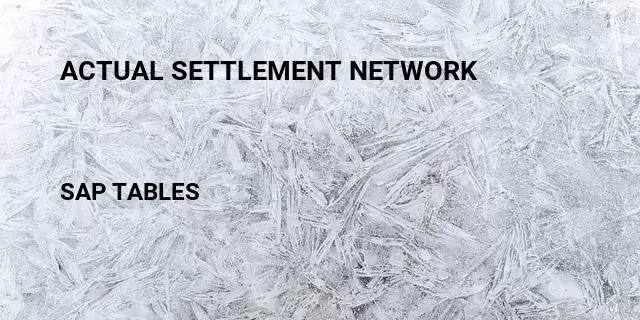 Actual settlement network Table in SAP