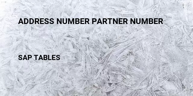 Address number partner number  Table in SAP