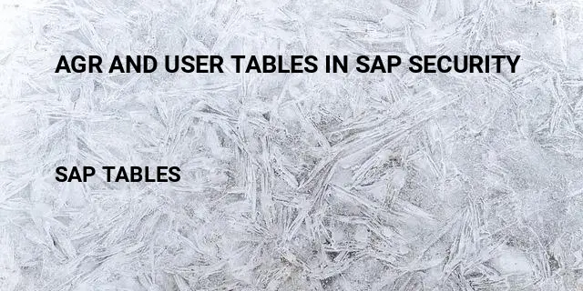 Agr and user tables in sap security Table in SAP