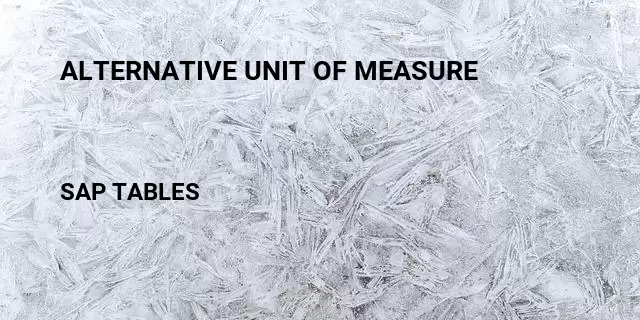 Alternative unit of measure Table in SAP