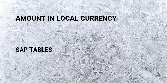 Amount in local currency Table in SAP
