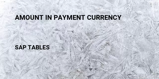 Amount in payment currency Table in SAP