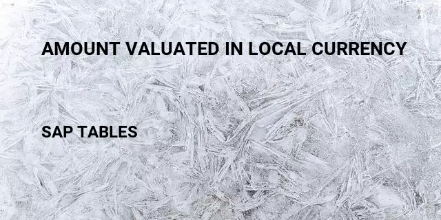 Amount valuated in local currency Table in SAP