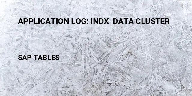 Application log: indx  data cluster Table in SAP