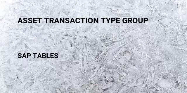 Asset transaction type group Table in SAP