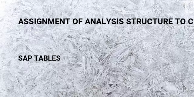 Assignment of analysis structure to client Table in SAP