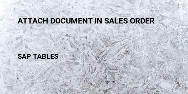 Attach document in sales order Table in SAP