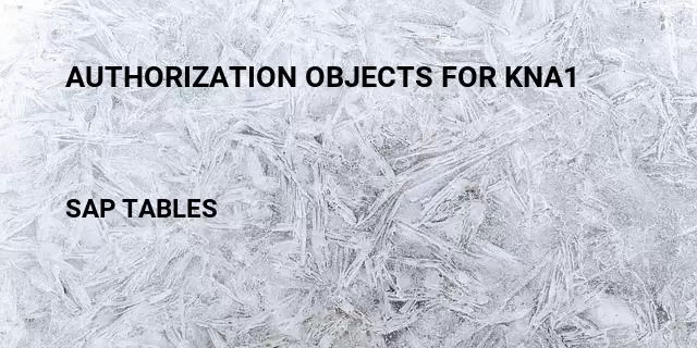 Authorization objects for kna1 Table in SAP