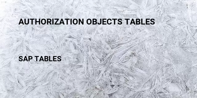 Authorization objects tables Table in SAP