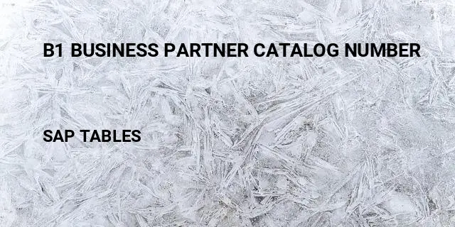 B1 business partner catalog number Table in SAP