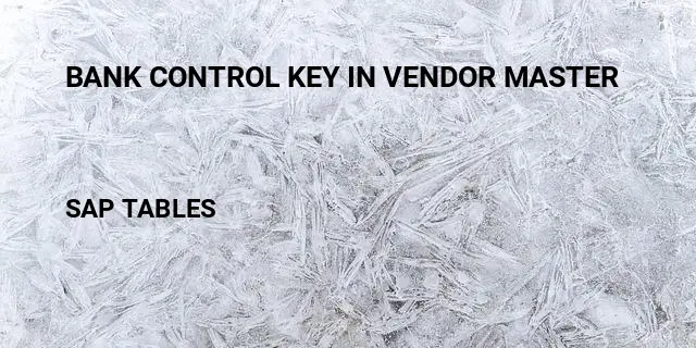 Bank control key in vendor master Table in SAP