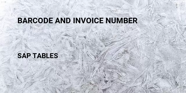 Barcode and invoice number Table in SAP