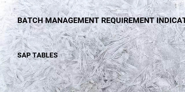 Batch management requirement indicator Table in SAP