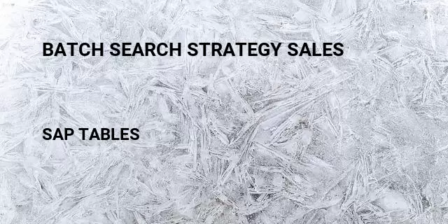 Batch search strategy sales Table in SAP