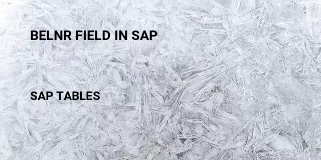 Belnr field in sap  Table in SAP