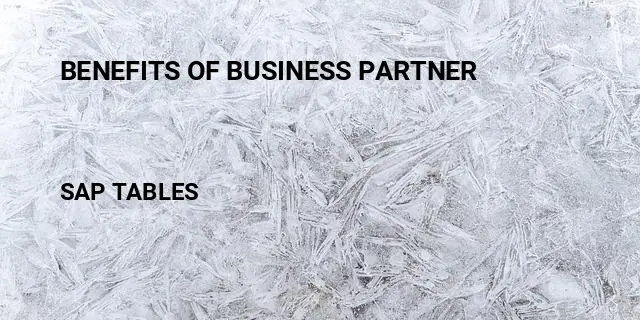 Benefits of business partner Table in SAP