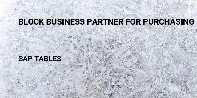 Block business partner for purchasing Table in SAP