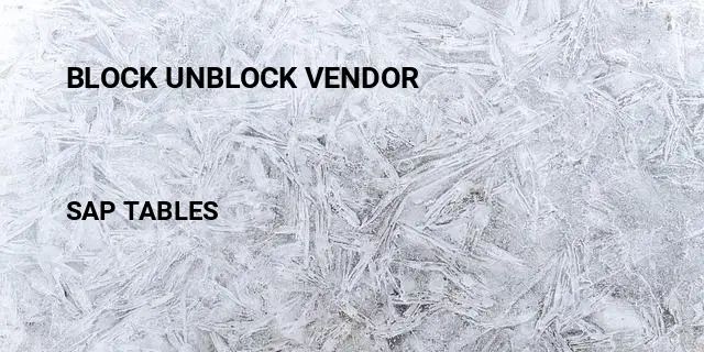 Block unblock vendor Table in SAP