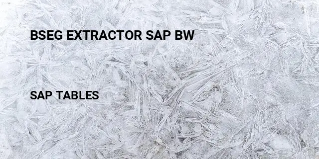 Bseg extractor sap bw Table in SAP