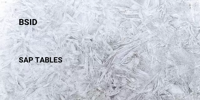 Bsid Table in SAP