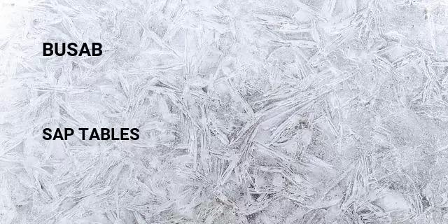 Busab Table in SAP