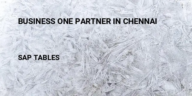 Business one partner in chennai Table in SAP