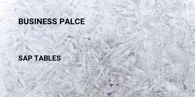Business palce Table in SAP