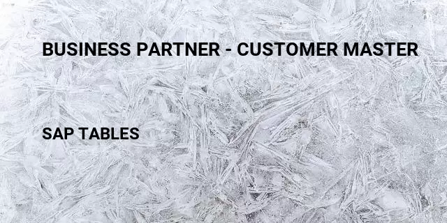 Business partner - customer master Table in SAP