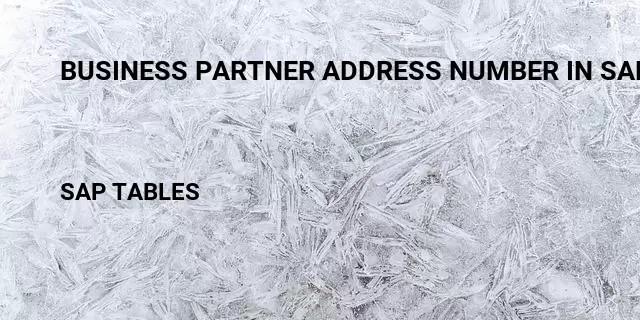 Business partner address number in sap srm tables in sap Table in SAP