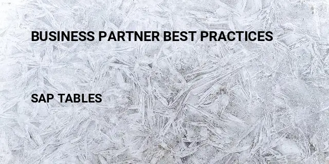 Business partner best practices Table in SAP
