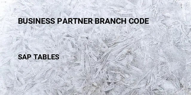 Business partner branch code Table in SAP