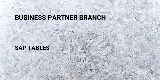 Business partner branch Table in SAP