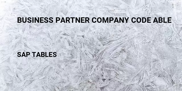 Business partner company code able Table in SAP