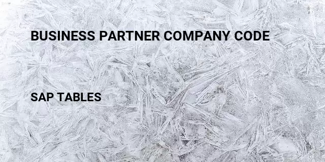 Business partner company code Table in SAP