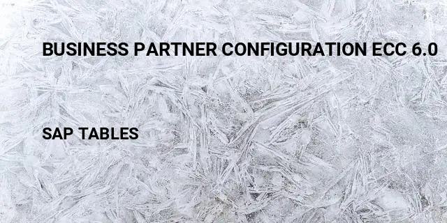 Business partner configuration ecc 6.0 Table in SAP