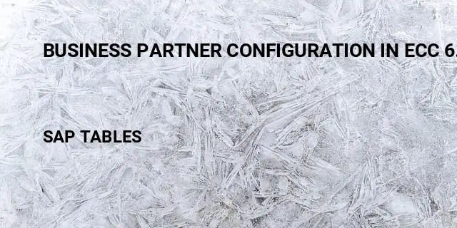 Business partner configuration in ecc 6.0 Table in SAP