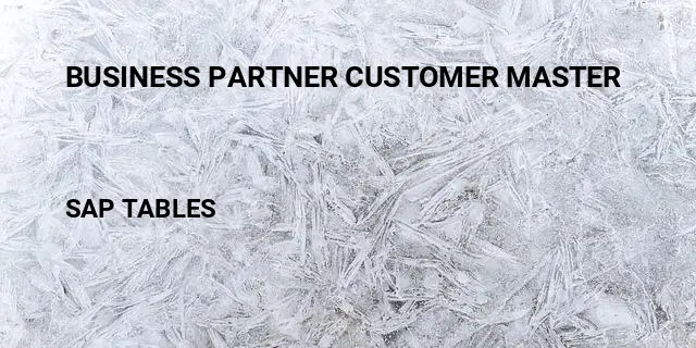 Business partner customer master Table in SAP