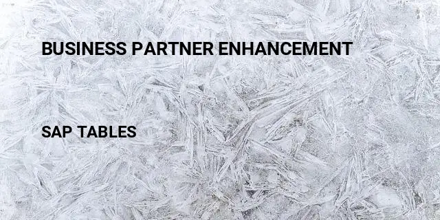 Business partner enhancement Table in SAP