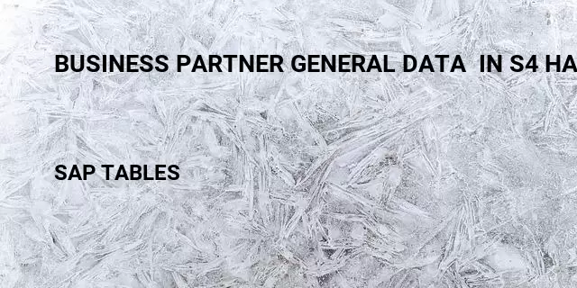 Business partner general data  in s4 hana Table in SAP