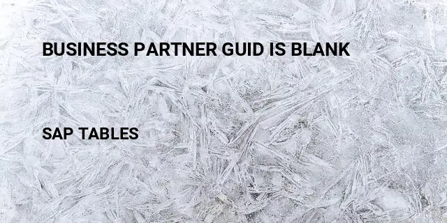 Business partner guid is blank Table in SAP