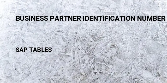 Business partner identification number Table in SAP