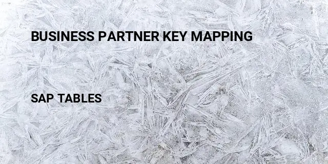 Business partner key mapping Table in SAP