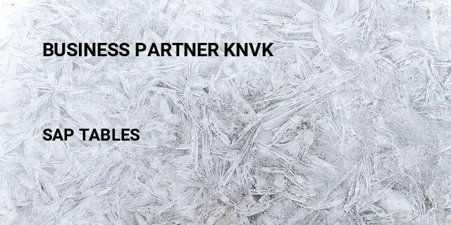 Business partner knvk Table in SAP