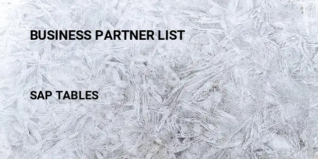 Business partner list Table in SAP