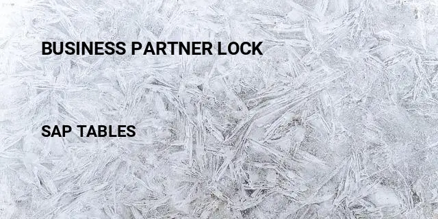 Business partner lock Table in SAP